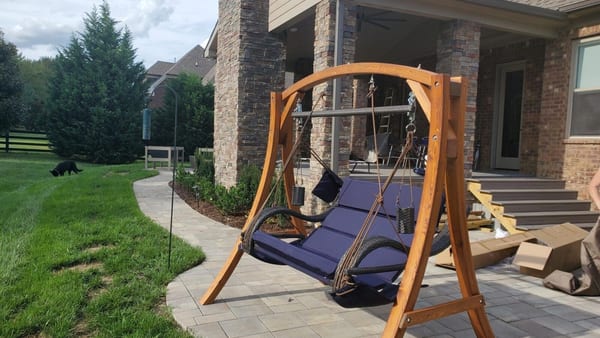 Business Spotlight: SoCo Swings