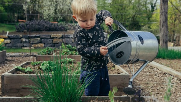 Embracing Green Living with the Help of Eco-Friendly Self-Storage Solutions