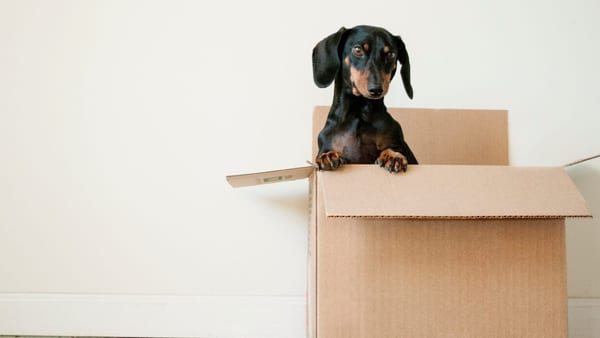The Complete Moving Checklist for a Stress-Free Move