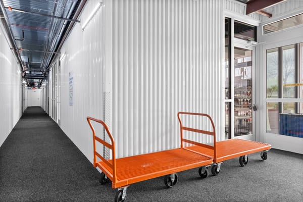 385 Flower Mound Cart Storage